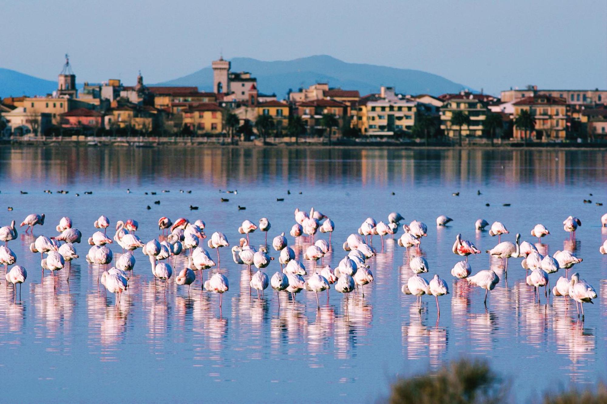 Park Hotel Residence Orbetello Exterior foto